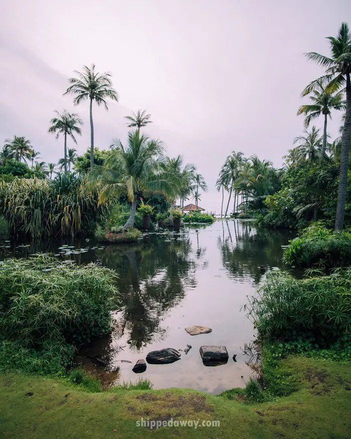 Pond and greenery at Anantara Mui Ne