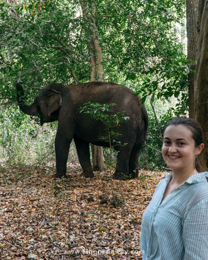 Arijana Tkalčec and elephant at ethical elephant experience in Yok Don National Park Vietnam