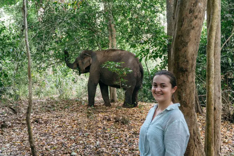 First ethical elephant experience at Yok Don National Park in Vietnam