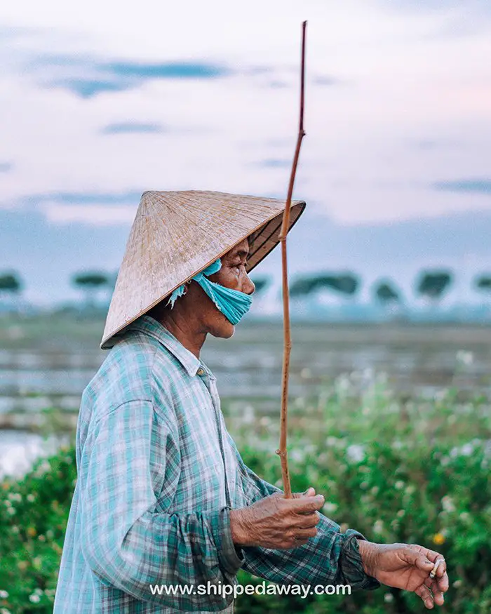 Locals of Hoi An rice fields