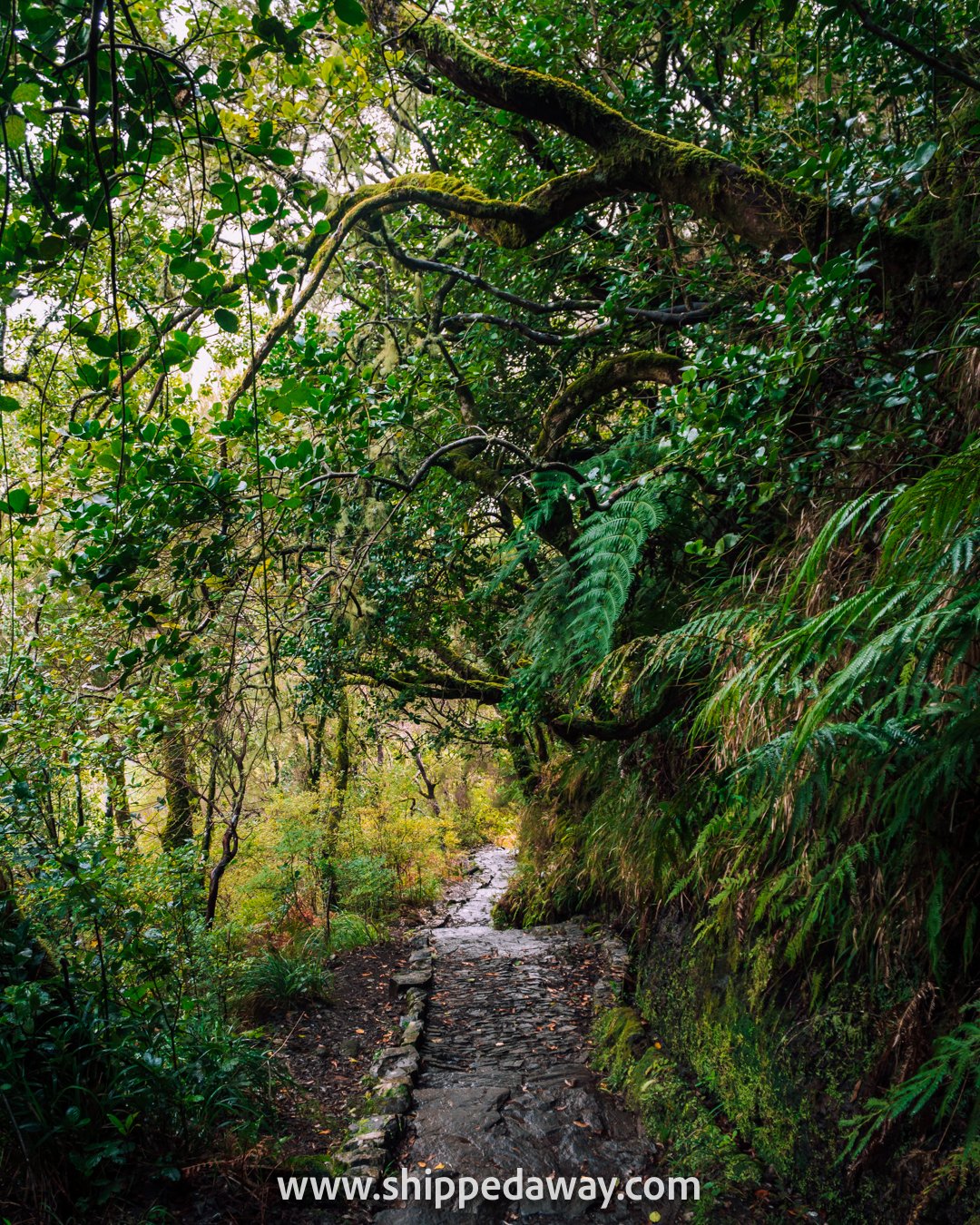 25 Fontes Levada path in Madeira