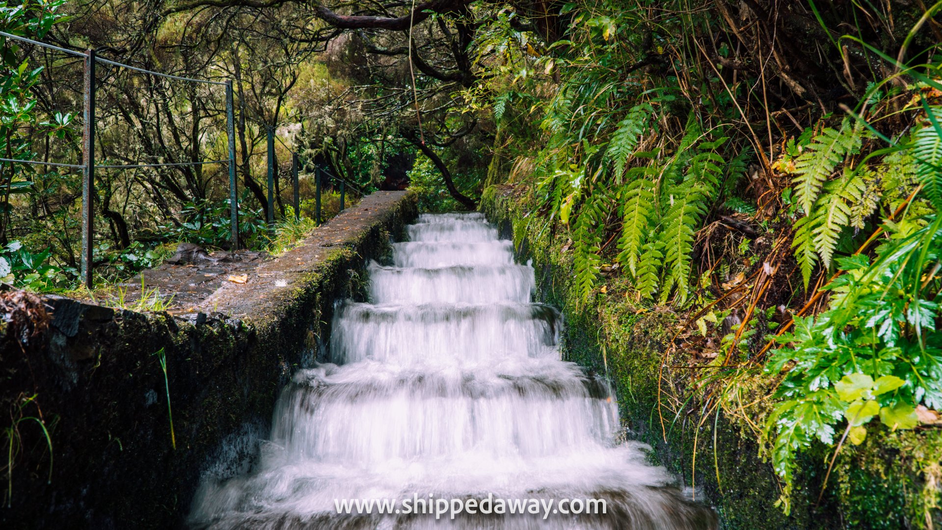 Levada Madeira