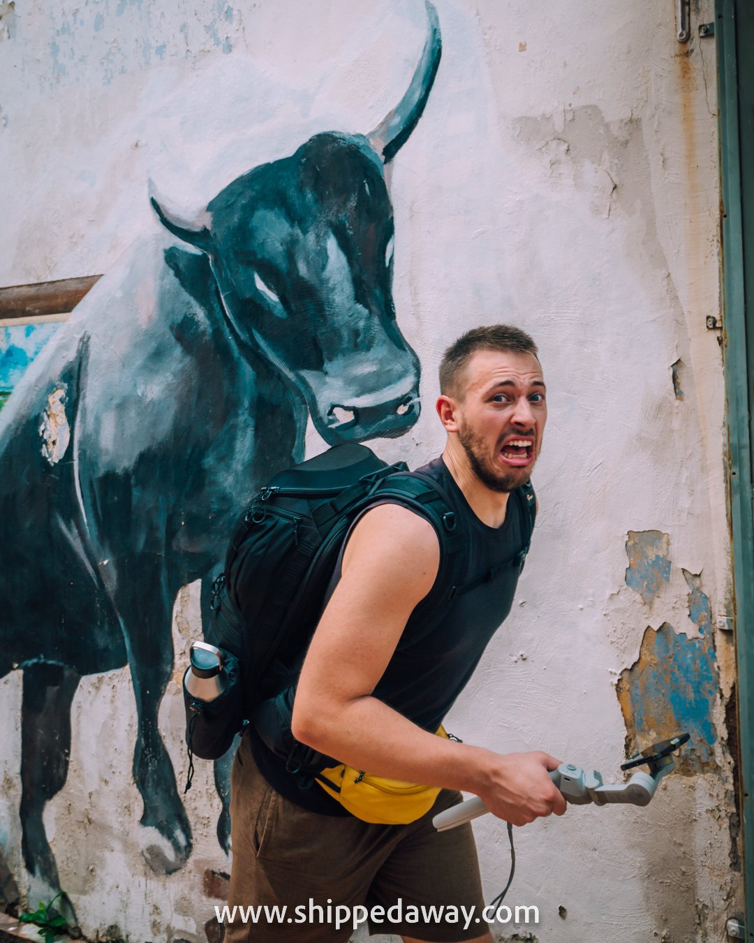 Matej Span posing with a bull graffiti (street art) in Melaka, Malaysia