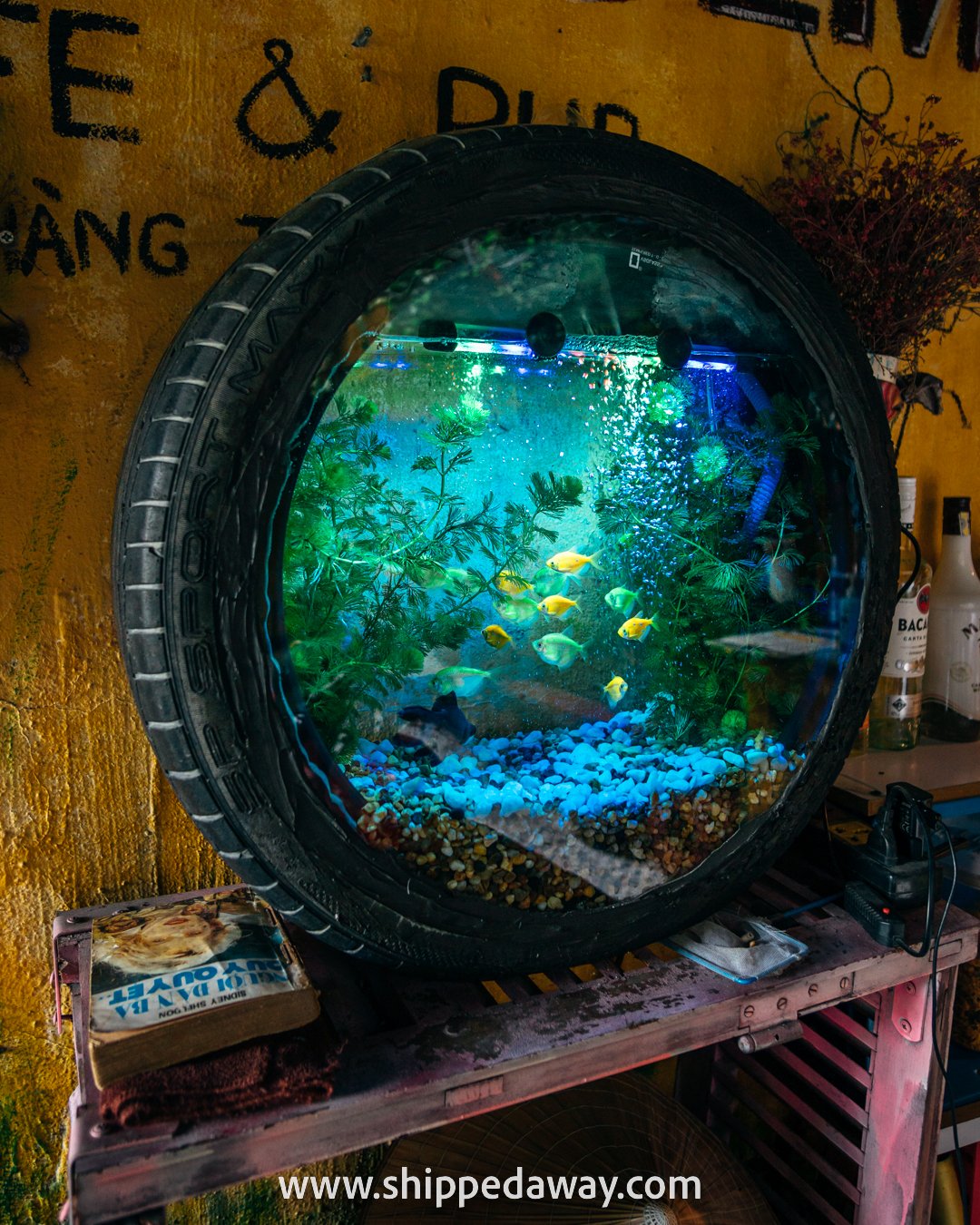 Old rubber tire reused as fish tank at Hidden Gem Coffee, Hanoi Old Quarter, Vietnam