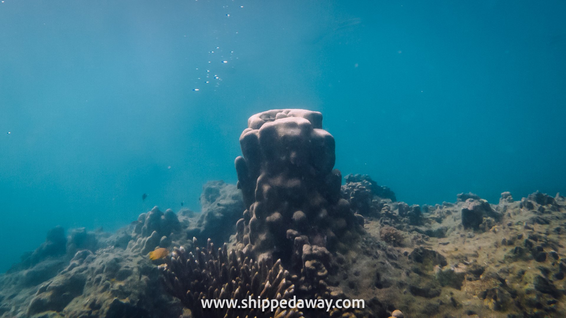 Corals of Krabi 5 Islands Sunset Snorkeling Cruise