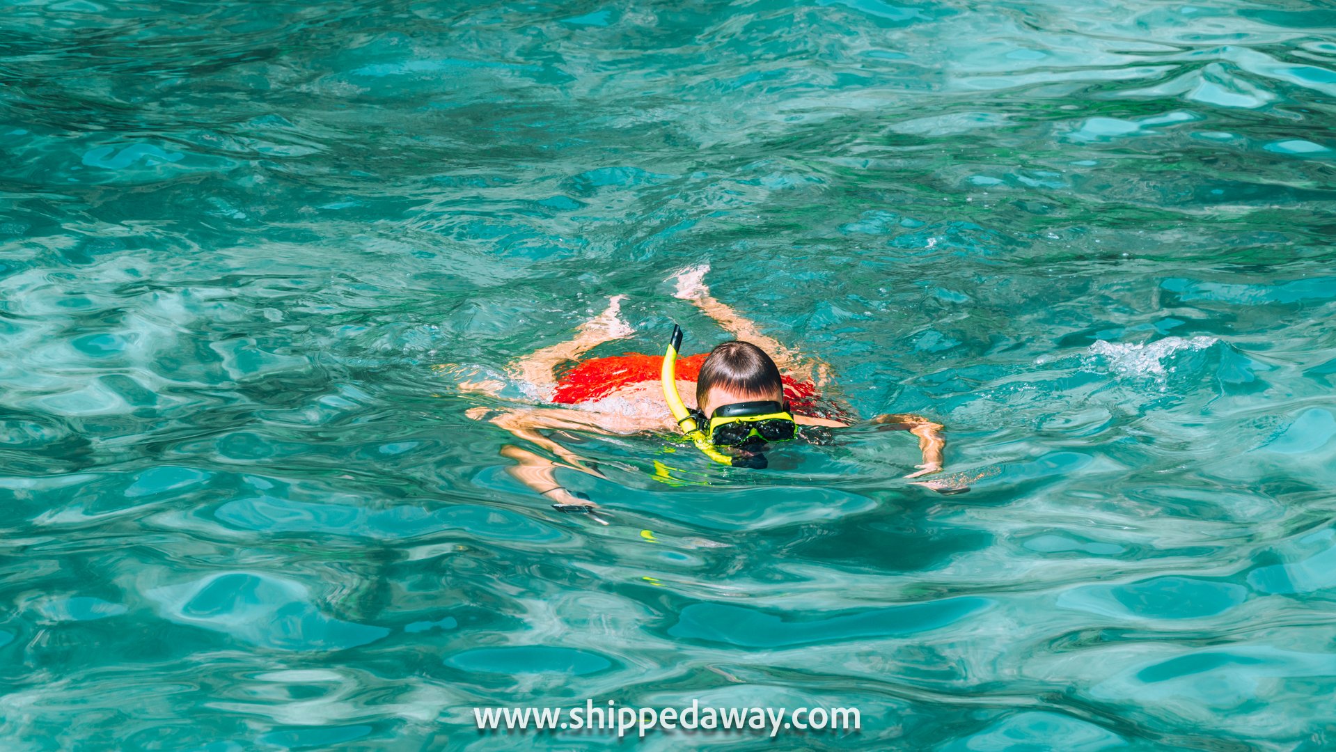Snorkeling around Phi Phi Islands, Thailand