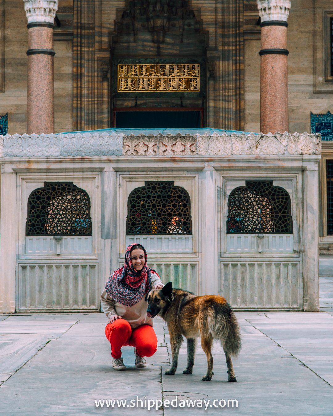 Arijana Tkalcec and a big dog, Suleymaniye Mosque, Istanbul