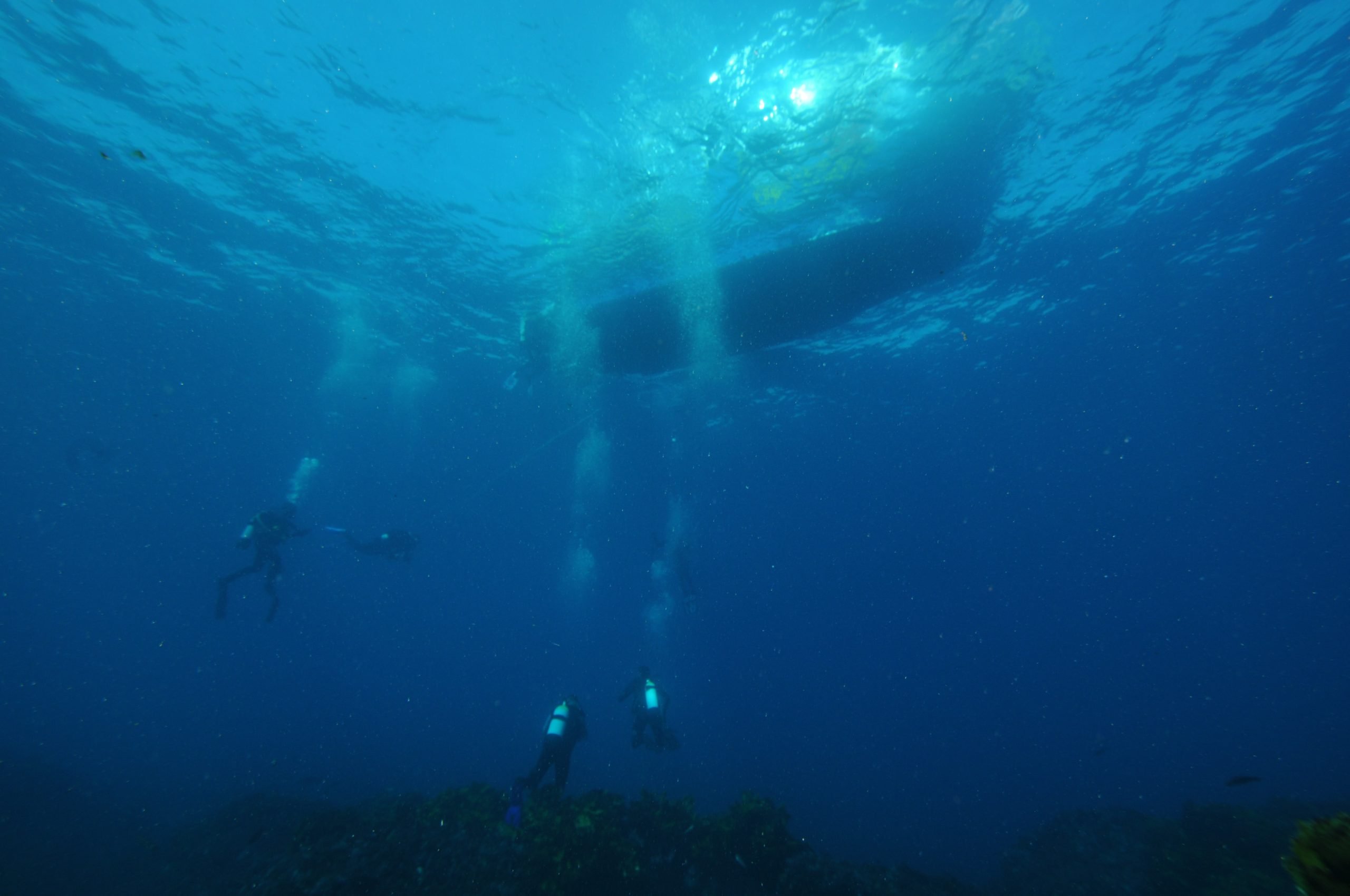 Diving on a liveaboard trip - Similan Islands
