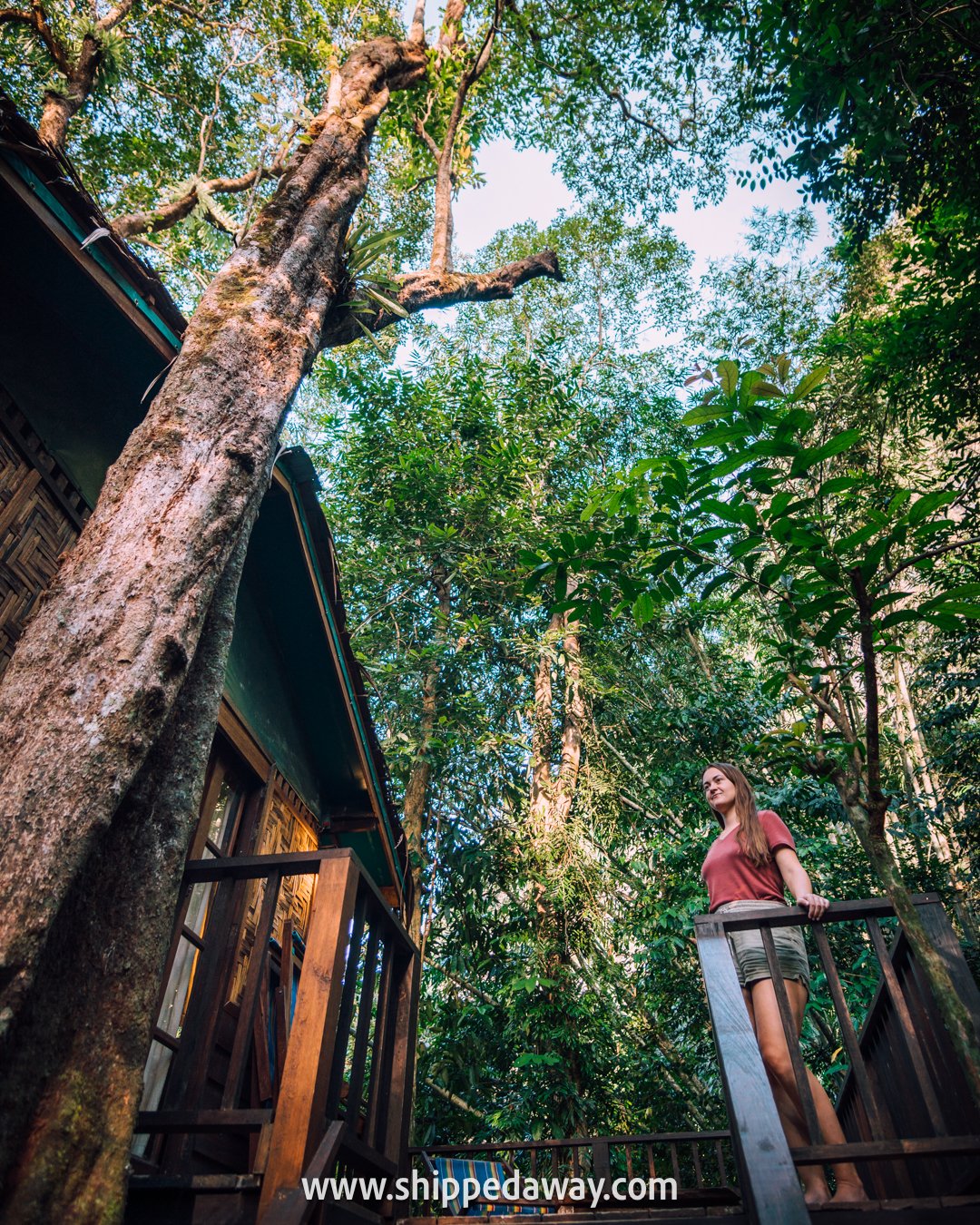 Treehouse at Our Jungle House in Khao Sok