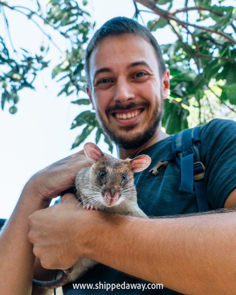 Seim Reip Rats Siem Reap Travel Guide: 17 Must-do Things + Tips