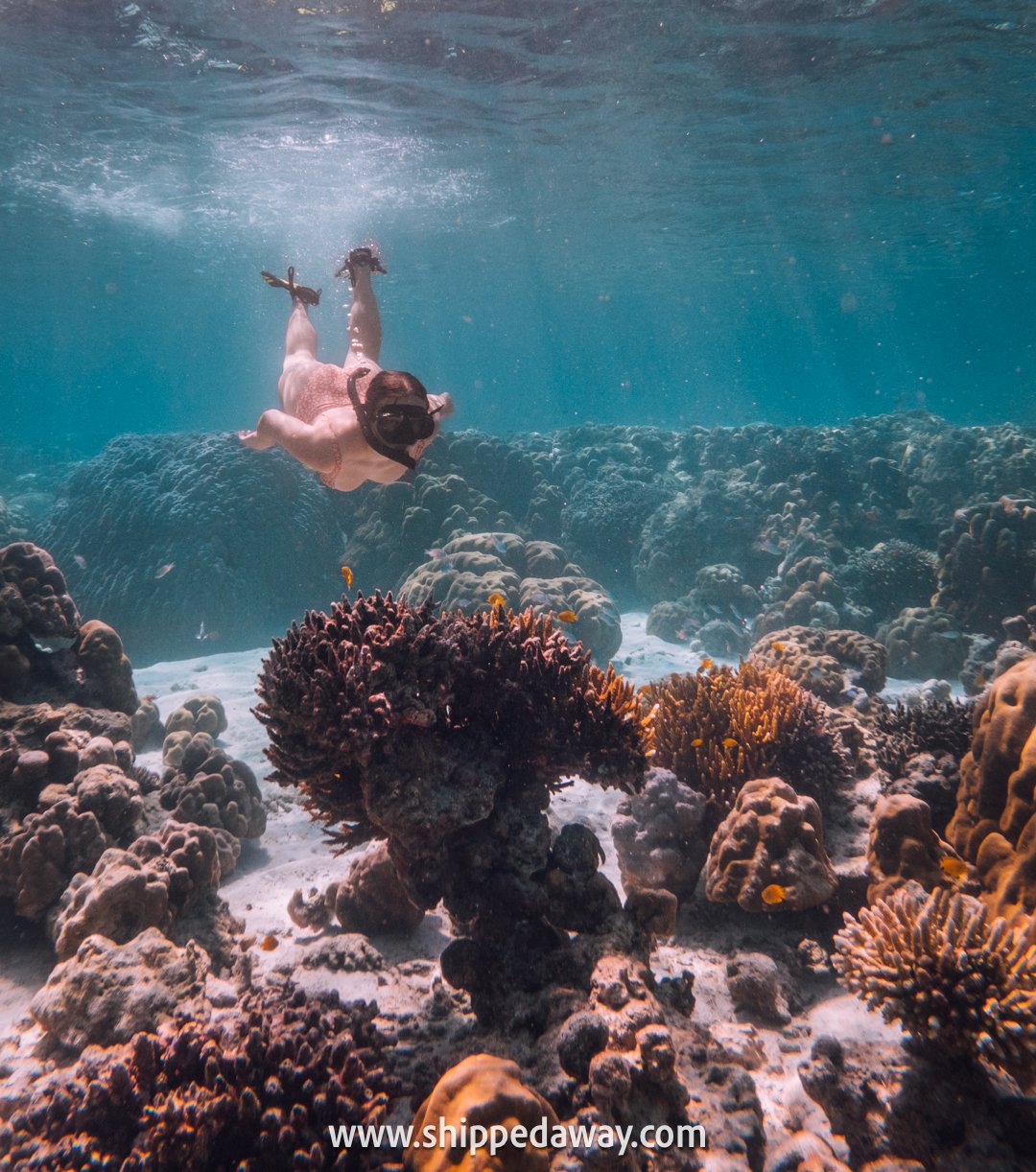 Snorkeling above colorful corals, Surin Islands, Thailand