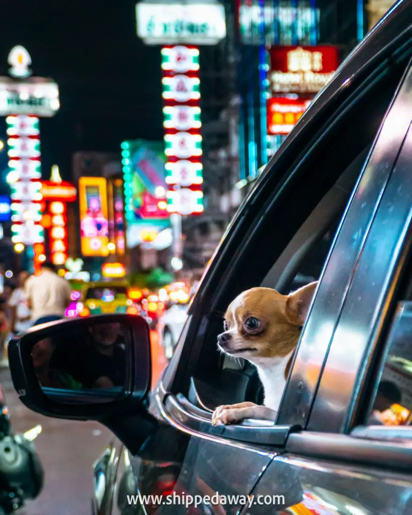 Car passing through Yaowarat road at night in Bangkok's Chinatown