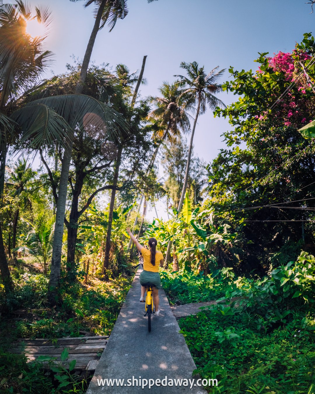 Cycling through Bangkok's nature, - palm trees and greenery, Thailand