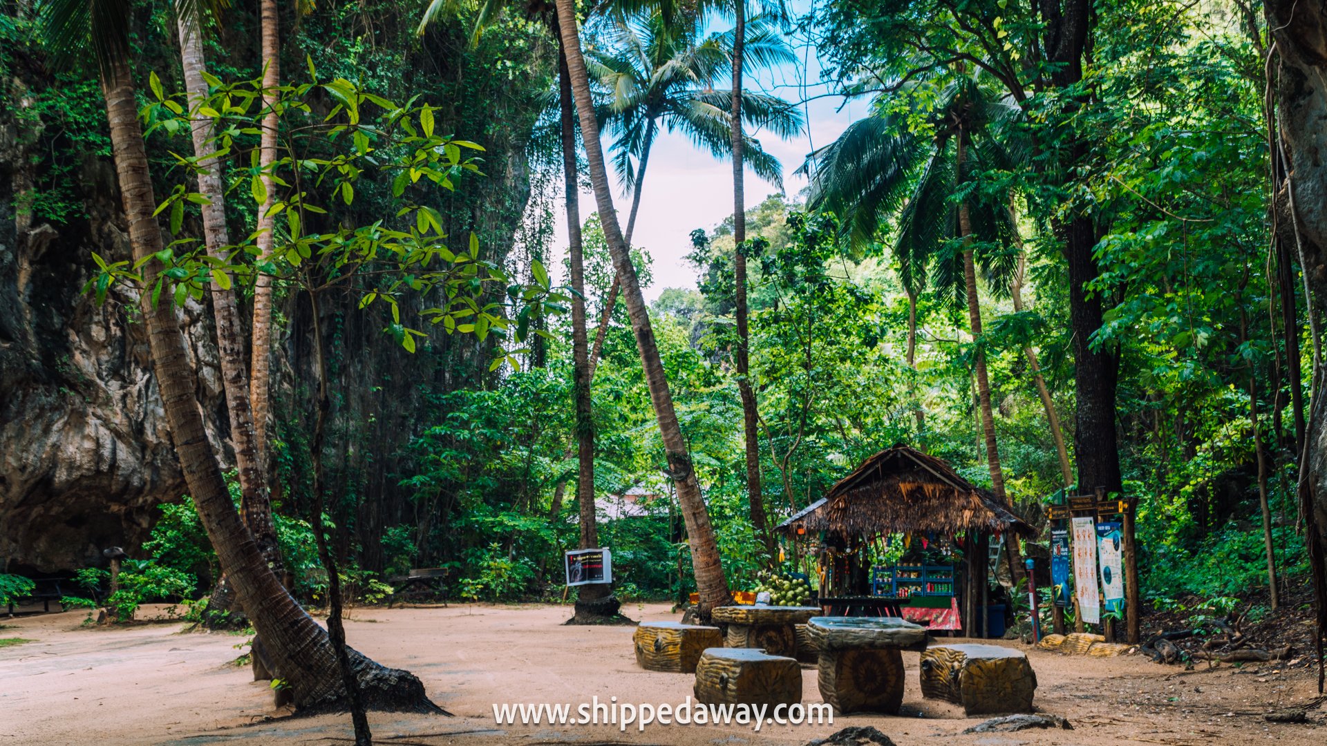 Lao Lading Island bar under the tree canopy