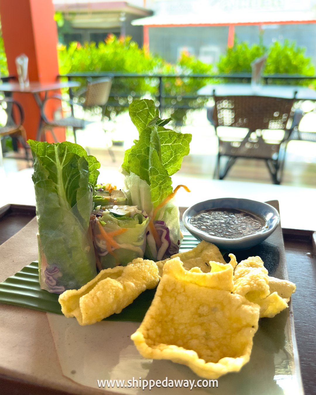 Fresh spring rolls and crackers - Food in Koh Samui, Thailand