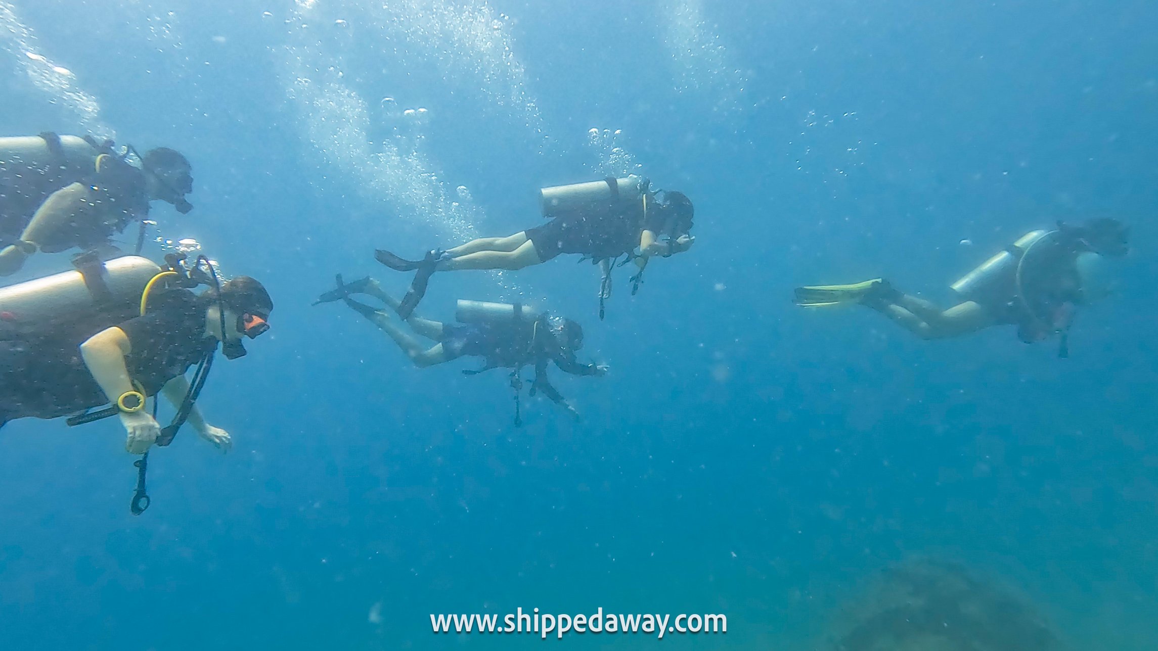Group of divers underwater while Scuba Diving in Koh Tao, Thailand