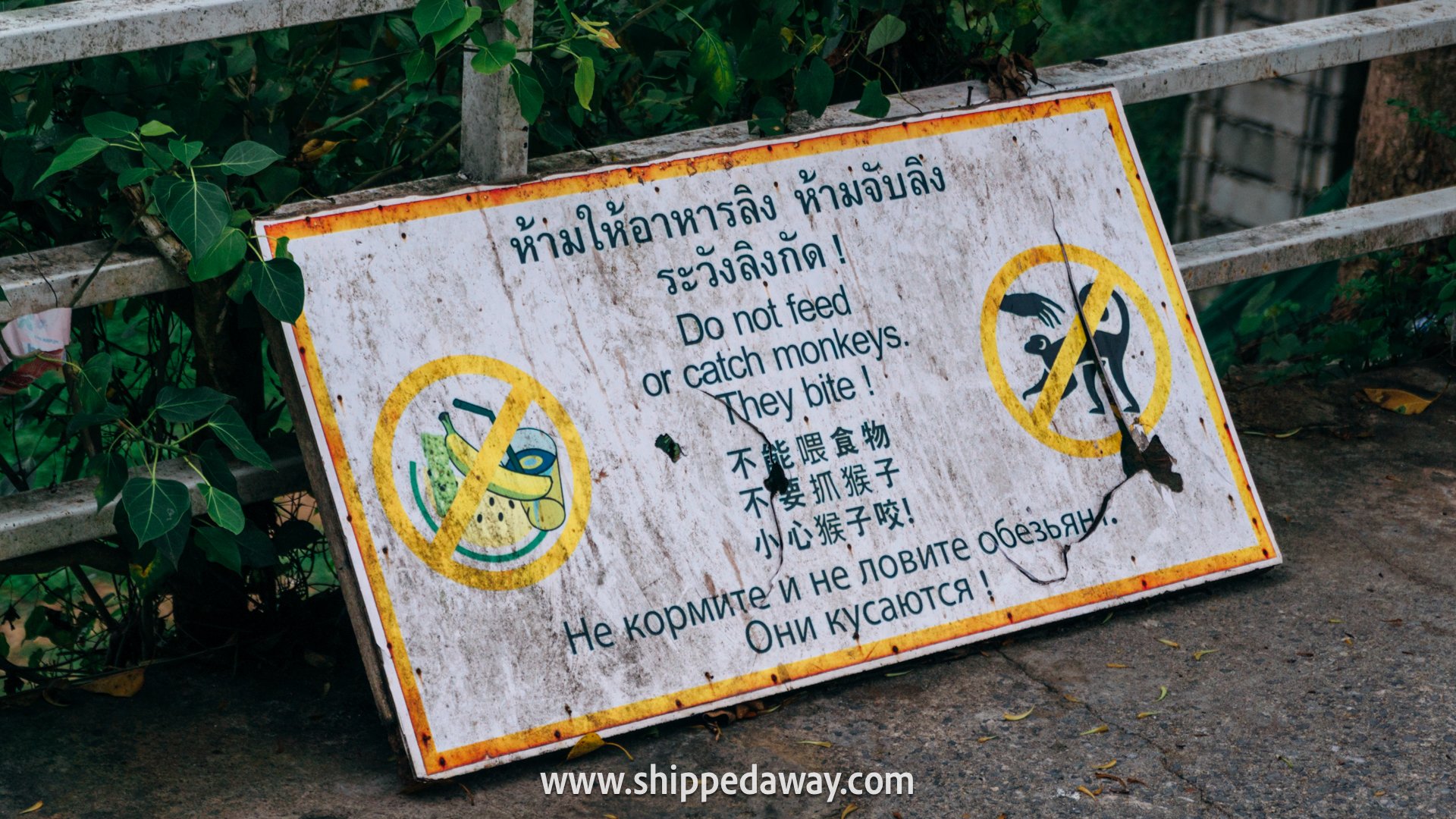Monkeys warning sign at Big Buddha, Phuket, Thailand