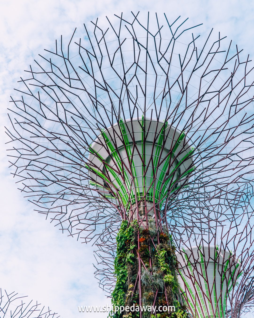 Supertrees of Gardens by the Bay in Singapore