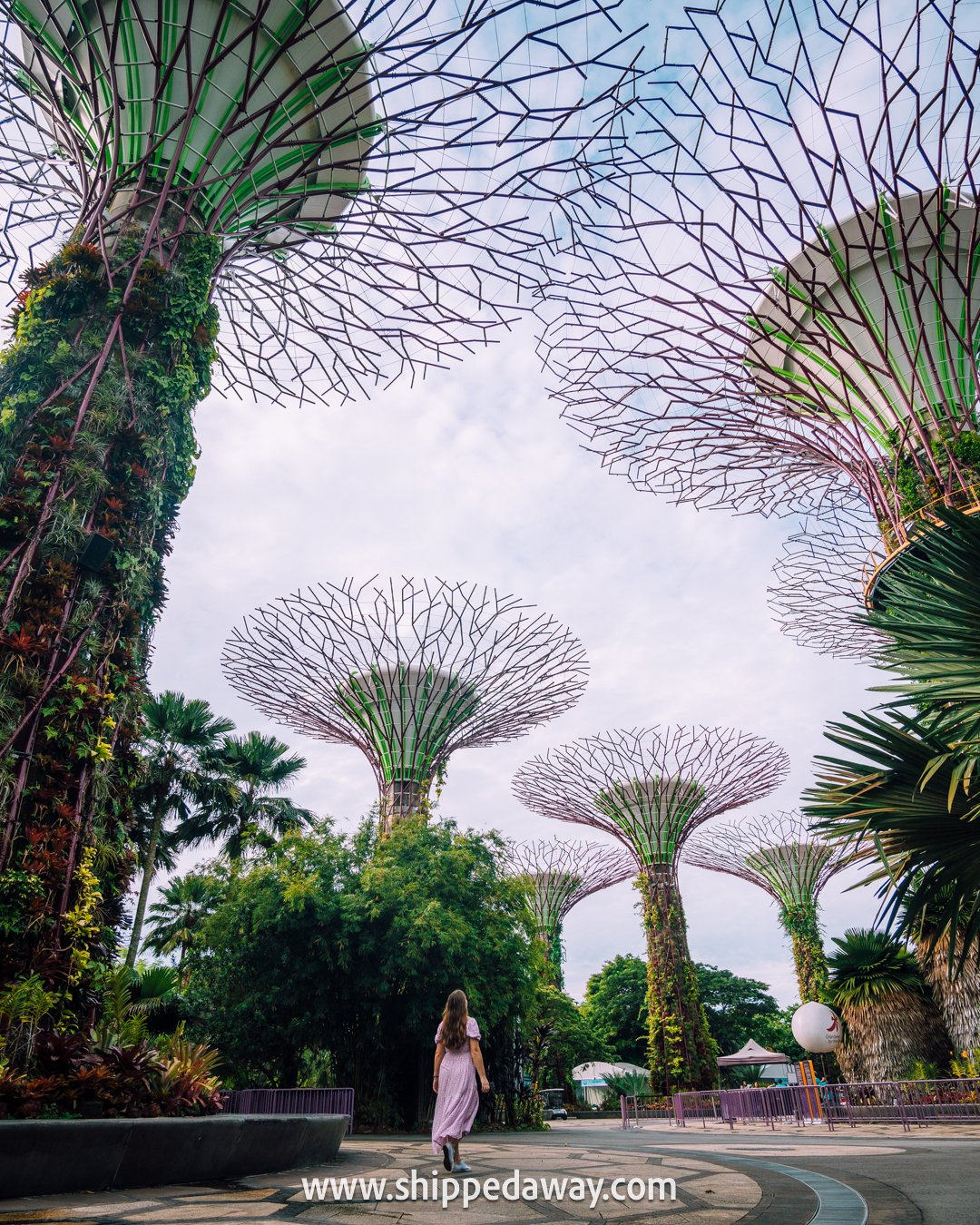 Best free thing to do in Gardens by the Bay and Singapore - visit Supertree Grove