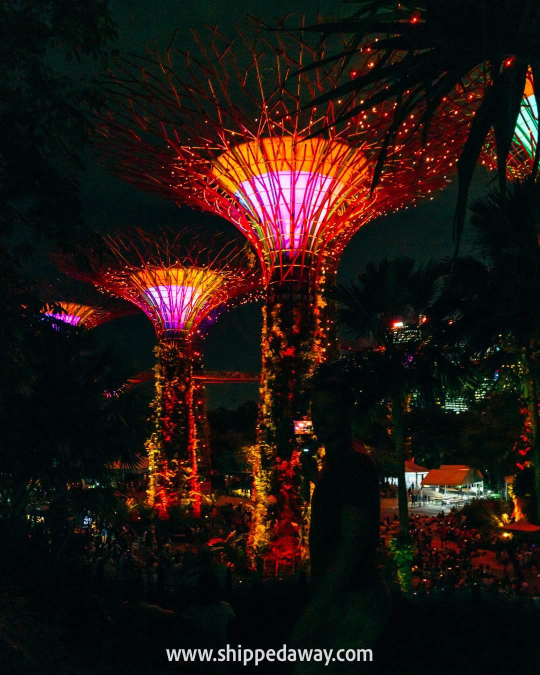 Gardens by the Bay Light Show, a must see in Singapore