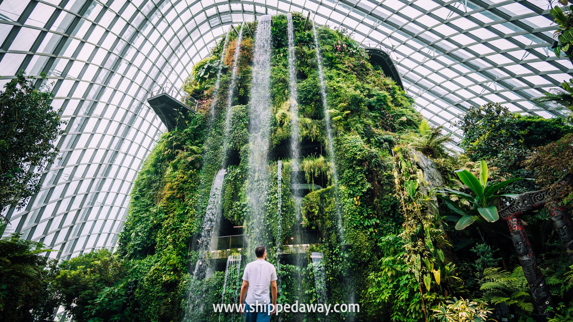 Best thing to see in Gardens by the Bay, Singapore - Cloud Forest