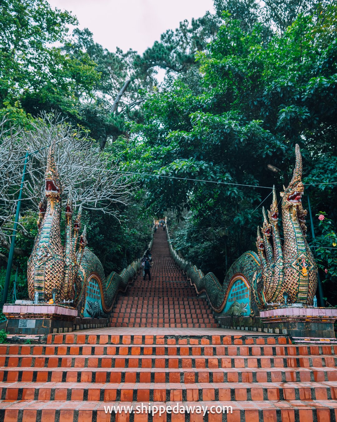 top things to do in Chiang Mai, Chiang Mai attractions - 300 steps staircase to Wat Phra That Doi Suthep temple above Chiang Mai