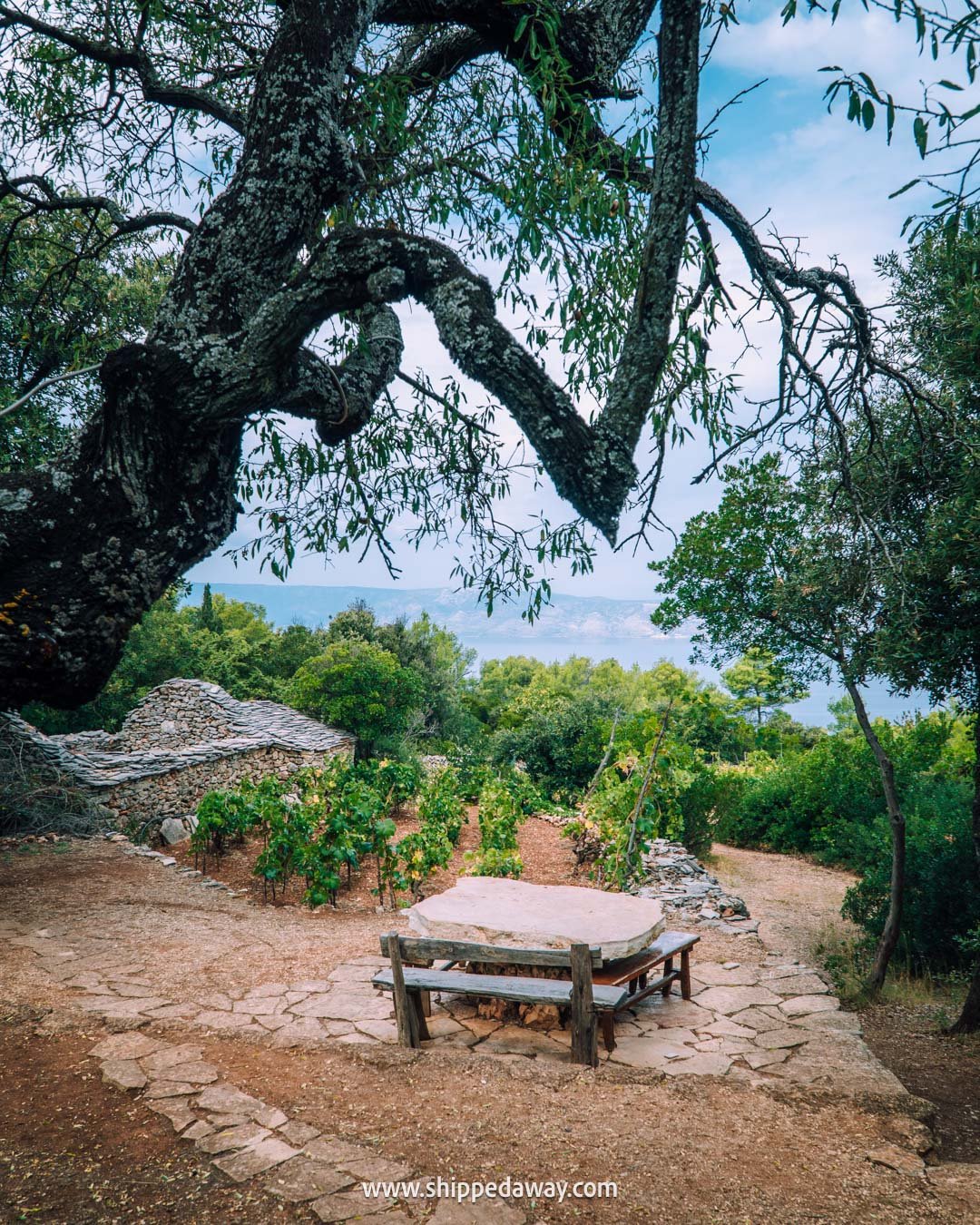 Must-do things in Hvar, Croatia - Konoba Humac