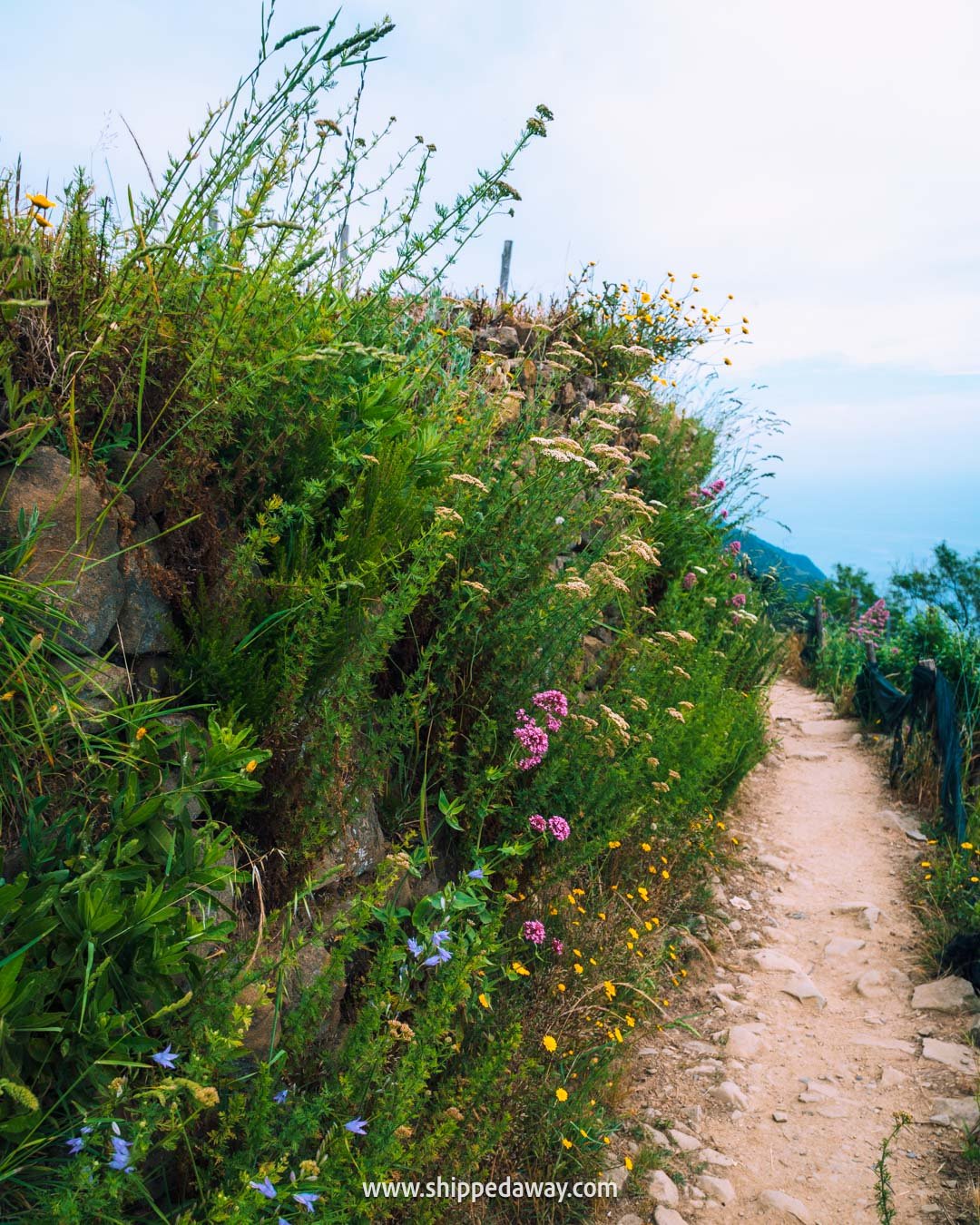 Corniglia to Manarola trail in Cinque Terre, hiking. inCinque Terre