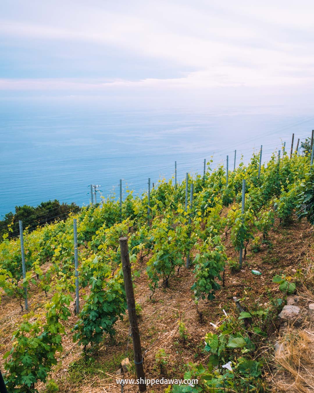 hiking in Cinque Terre Italy, Corniglia to Manarola via Volastra hike Cinque Terre