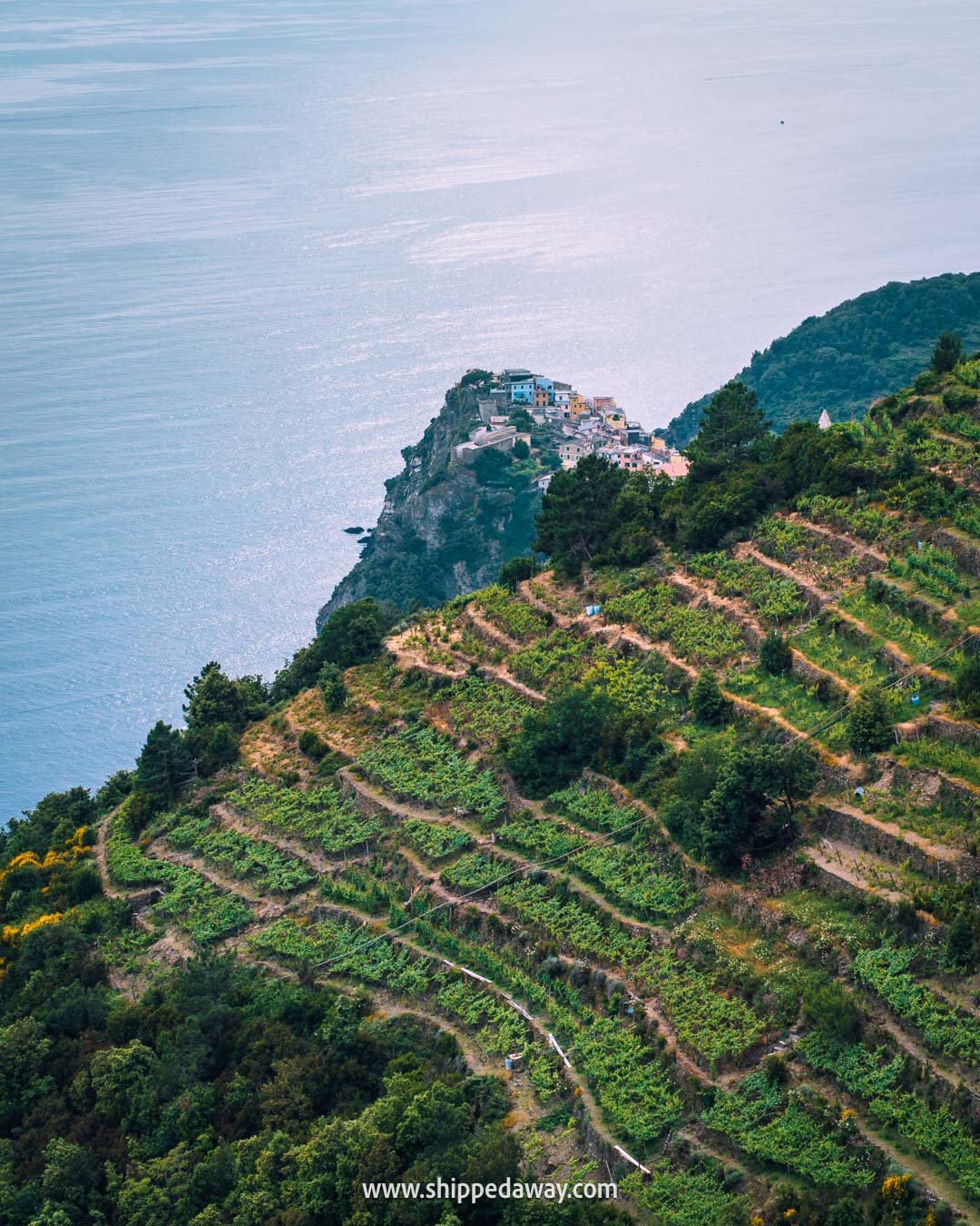 hiking in Cinque Terre Italy, Corniglia to Manarola via Volastra hike Cinque Terre