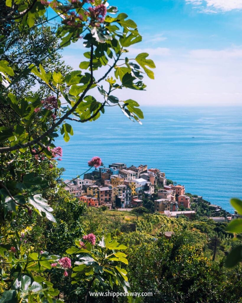 Corniglia Cinque Terre Italy, Corniglia to Manarola hike via Volastra Cinque Terre