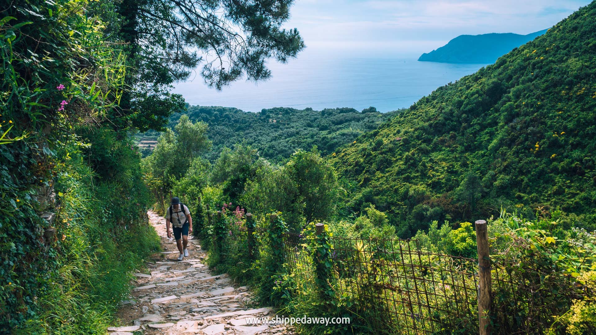 Cinque Terre Italy, hiking path from Corniglia to Manarola Cinque Terre