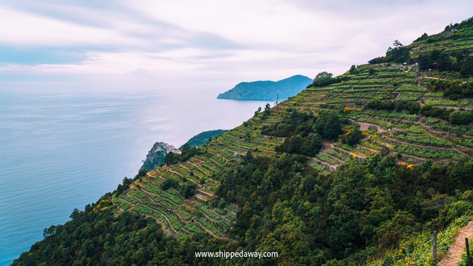 Cinque Terre by car? Honest review & where to park - hilly landscape