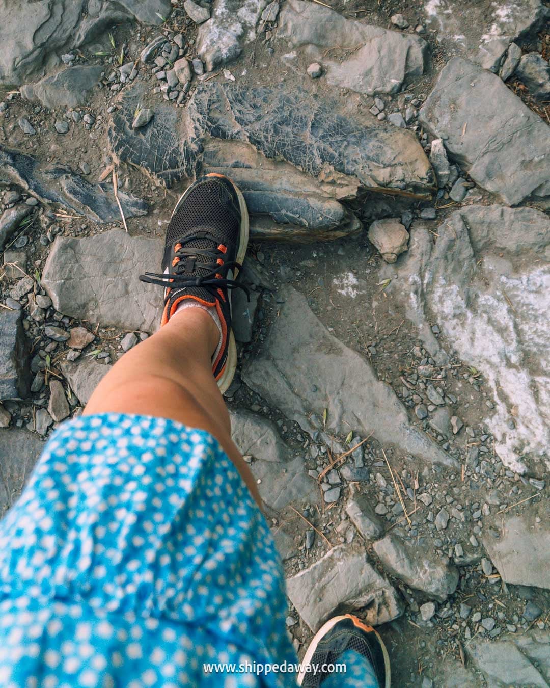 hiking path from Vernazza to Corniglia Cinque Terre