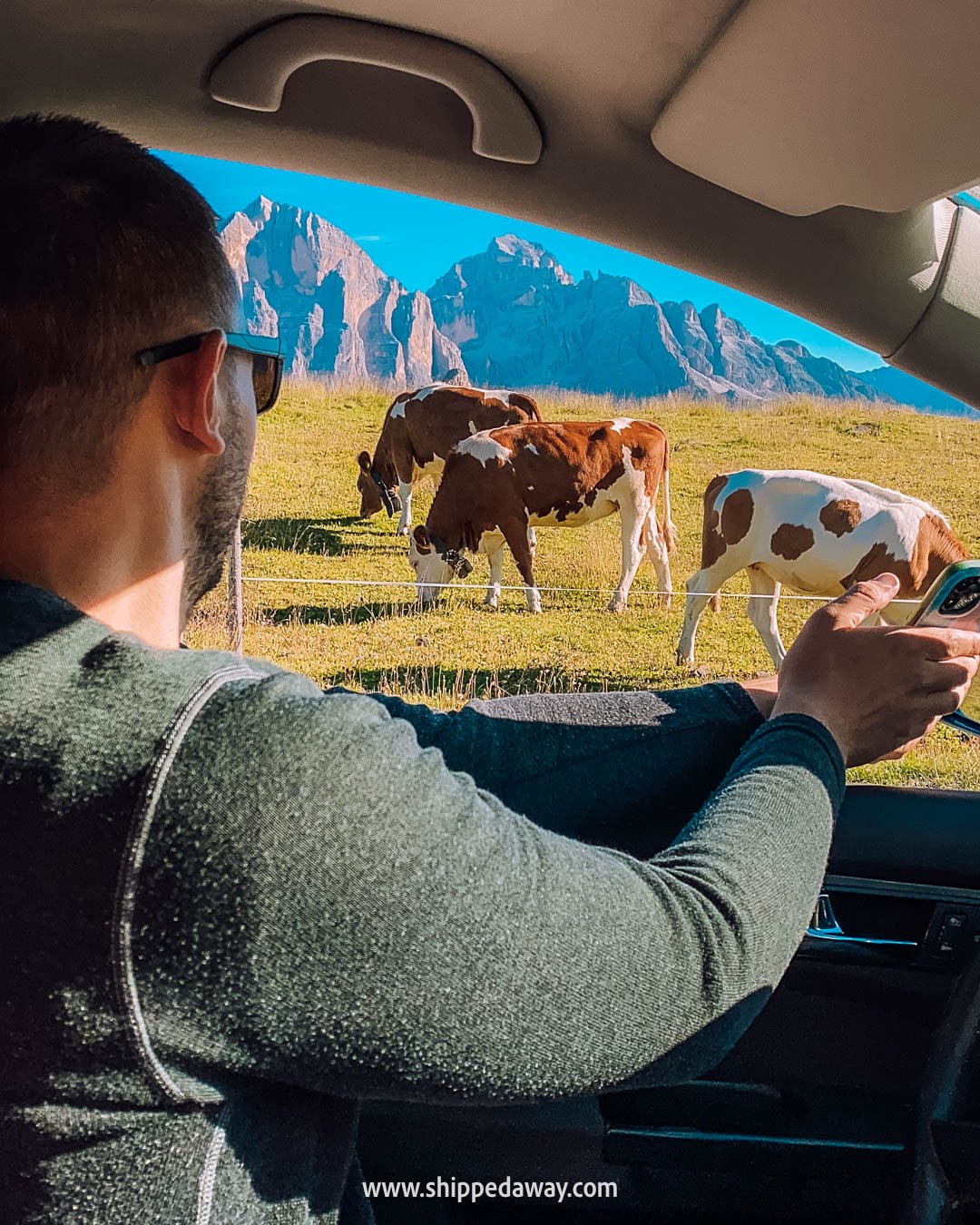Sim Local Review - review of Sim Local eSIM - is Sim Local a good eSIM provider - playing music to cows in the Dolomites