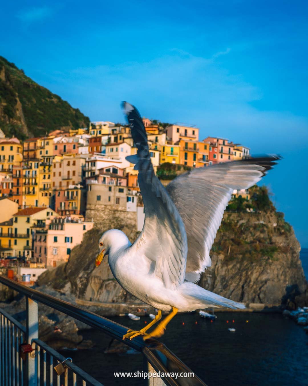 Manarola sunset, Cinque Terre hiking, Corniglia to Manarola via Volastra hiking trail Cinque Terre, Manarola photo spot