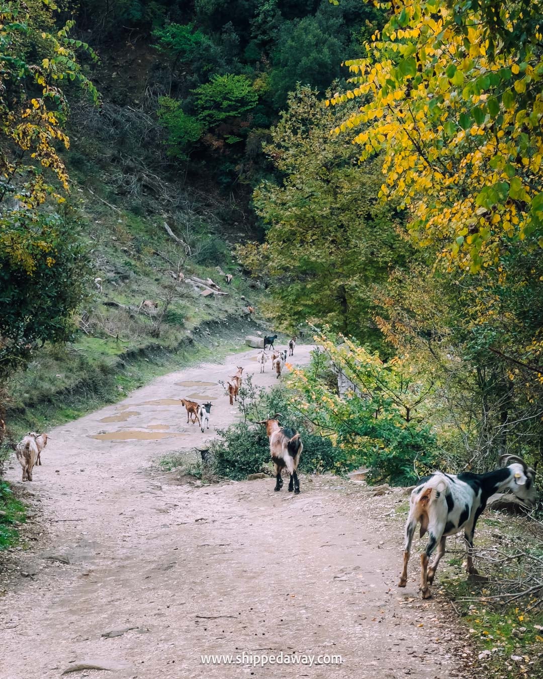 How to visit Bogova Waterfall near Berat & Osumi Canyon - hiking trail