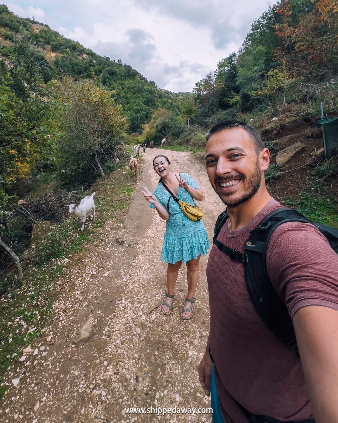 How to visit Bogova Waterfall near Berat & Osumi Canyon - goats on the hiking trail