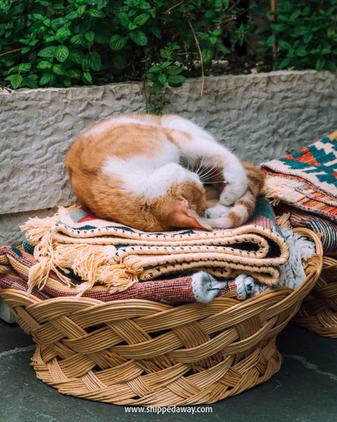 What to see in Gjirokaster, Albania's Stone City - things to do in Gjirokaster, Albania - cobblestone streets in old bazaar quarter