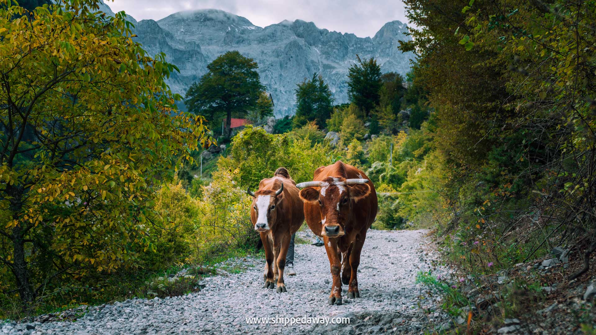 Things to do in Theth, Albania - how to visit Theth - guide to Theth in Albanian Alps - hike to Grunas Waterfall