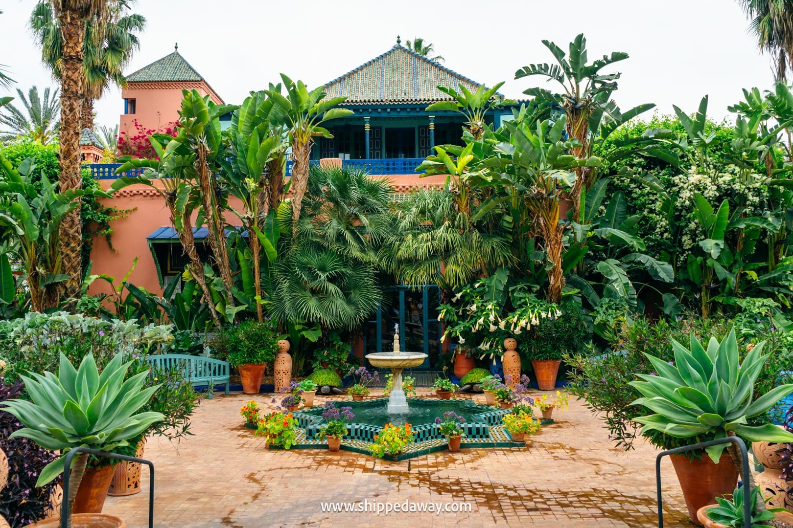 Things to do in Marrakesh, Morocco - Jardin Majorelle garden