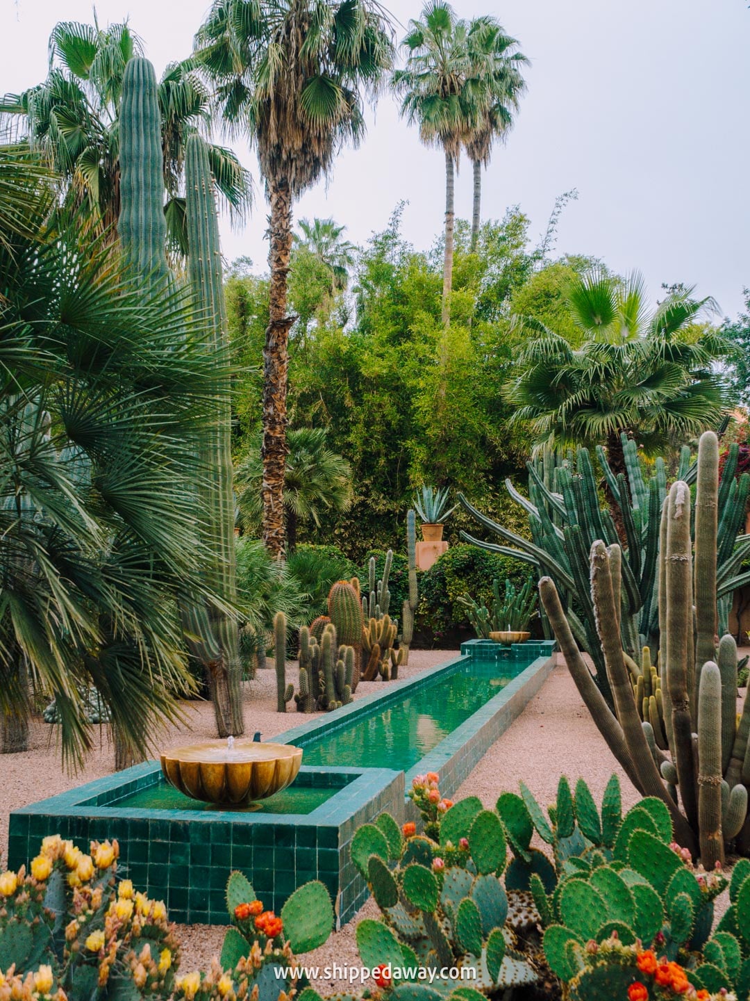 Things to do in Marrakesh, Morocco - Jardin Majorelle garden