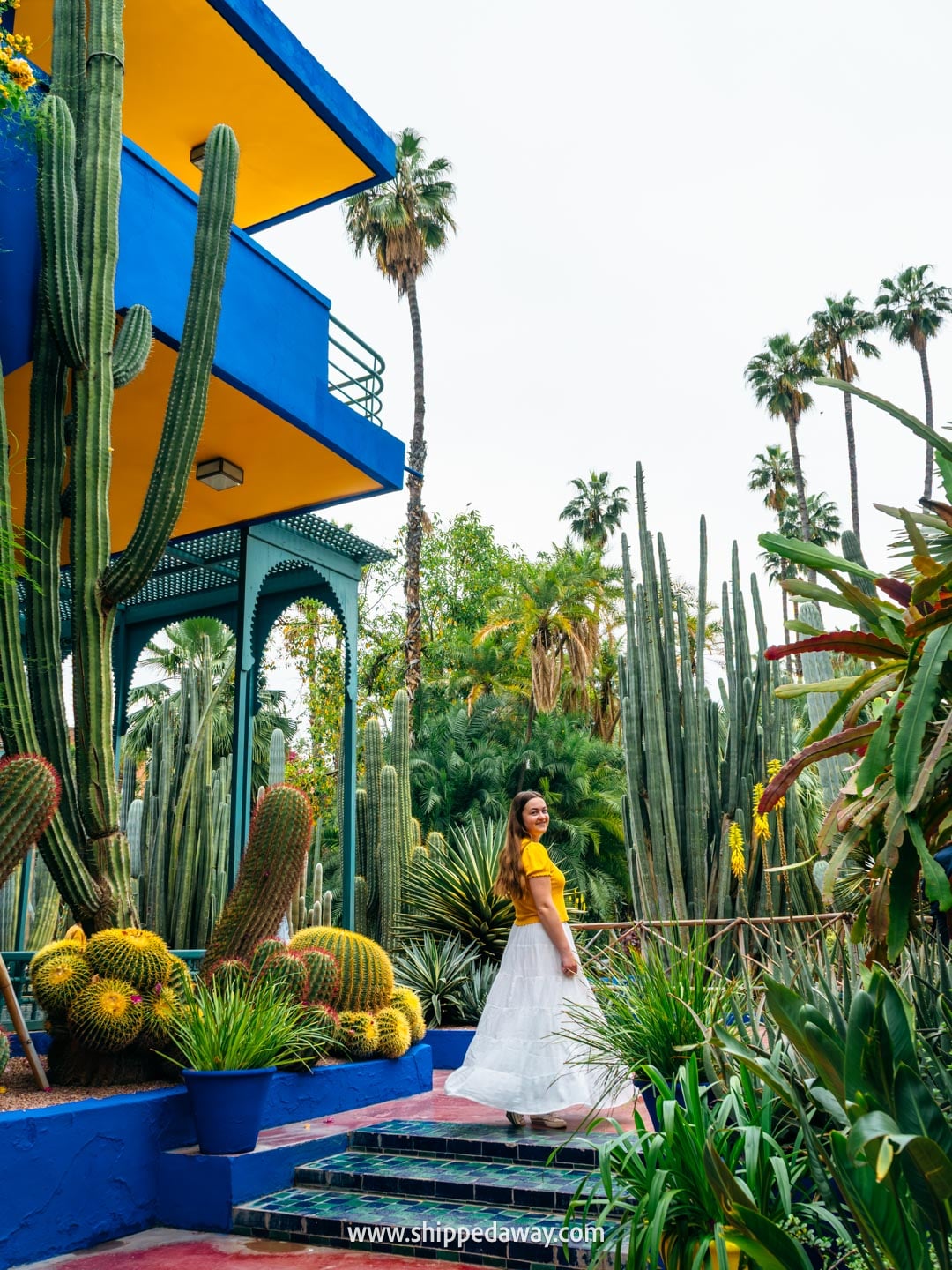 Things to do in Marrakesh, Morocco - Jardin Majorelle garden photo spot