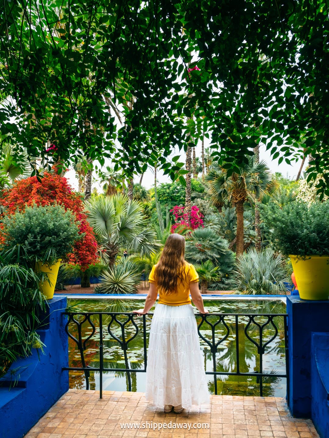 Things to do in Marrakesh, Morocco - Jardin Majorelle garden