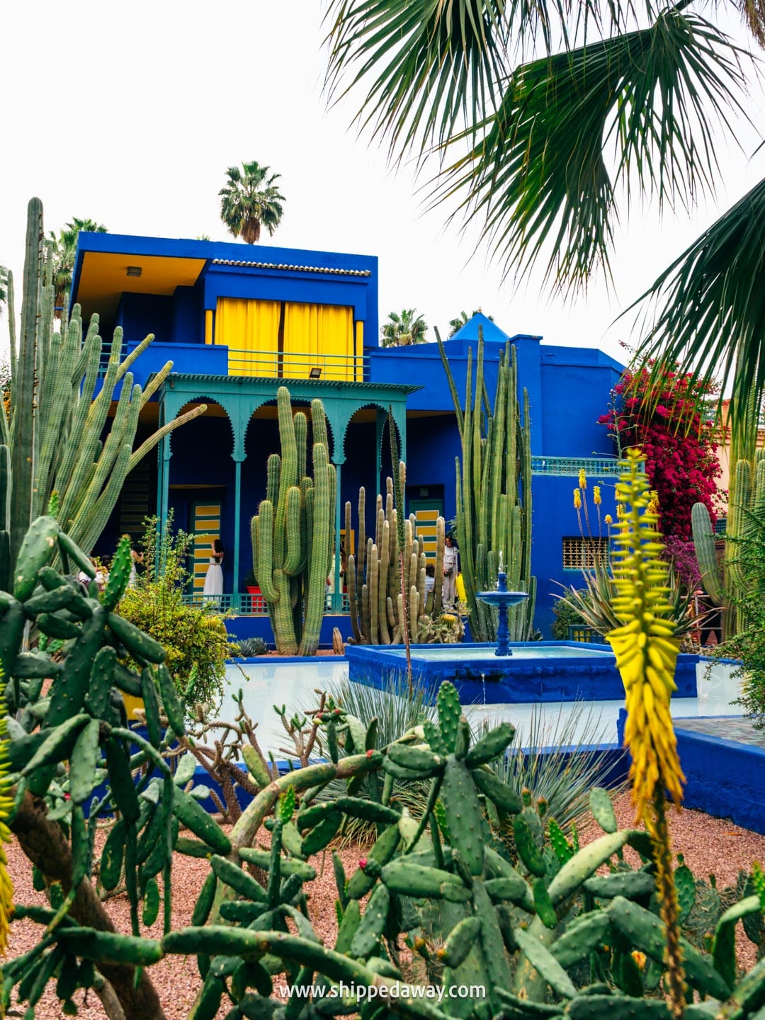 Things to do in Marrakesh, Morocco - Jardin Majorelle garden