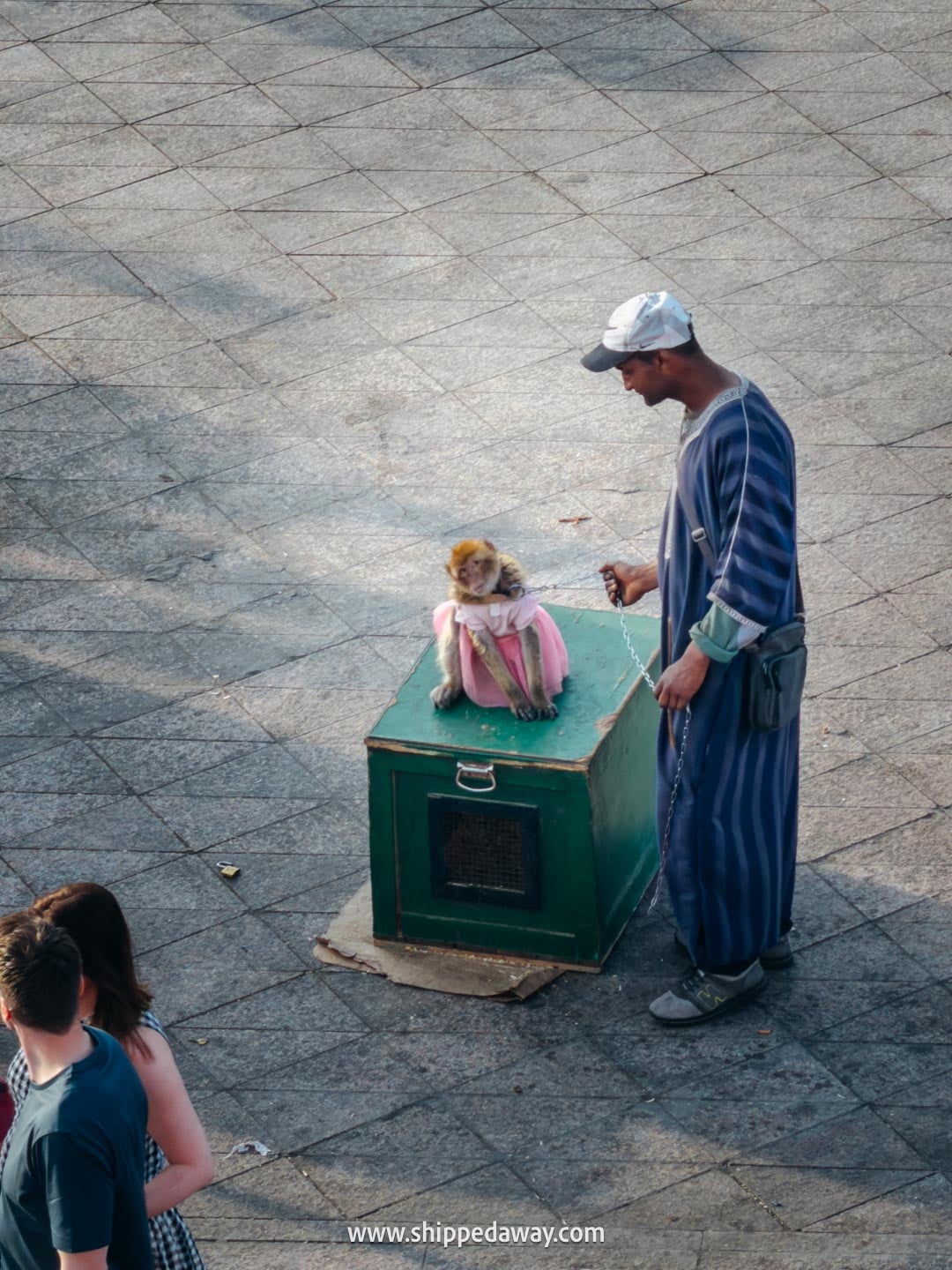 Things to do in Marrakesh, Morocco - a monkey in a dress at Jemaa el-Fnaa square