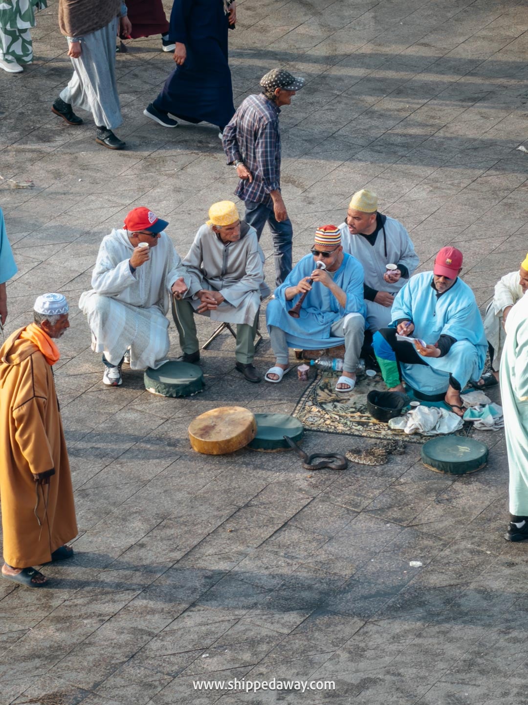 Things to do in Marrakesh, Morocco - snakes and snake charmers at Jemaa el-Fnaa square