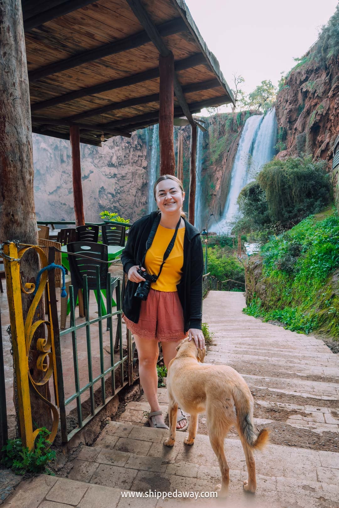 Guide to Ouzoud Waterfalls with tips from our two-night visit - friendly dog on the stairs leading down