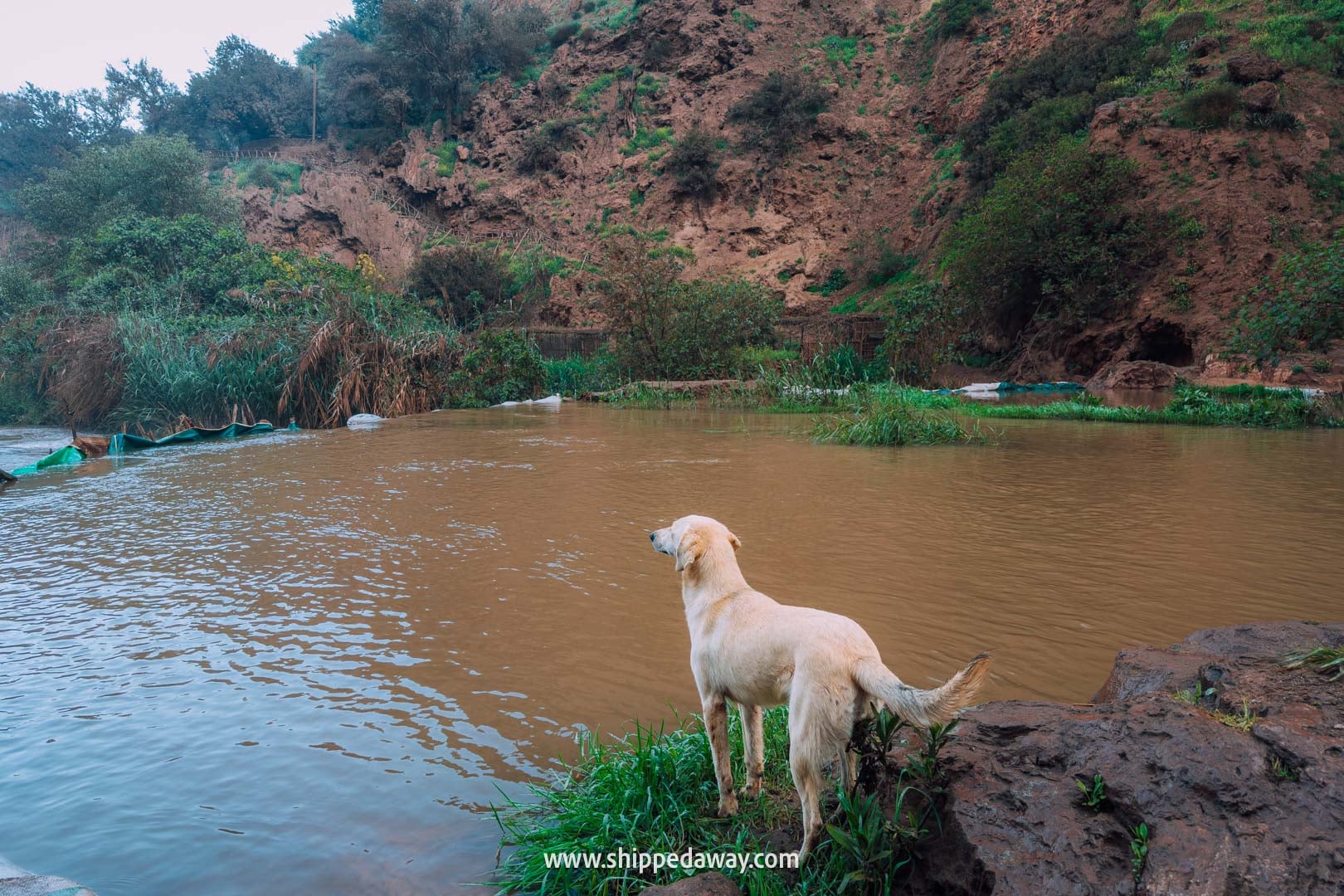 Guide to Ouzoud Waterfalls with tips from our two-night visit - swimming area