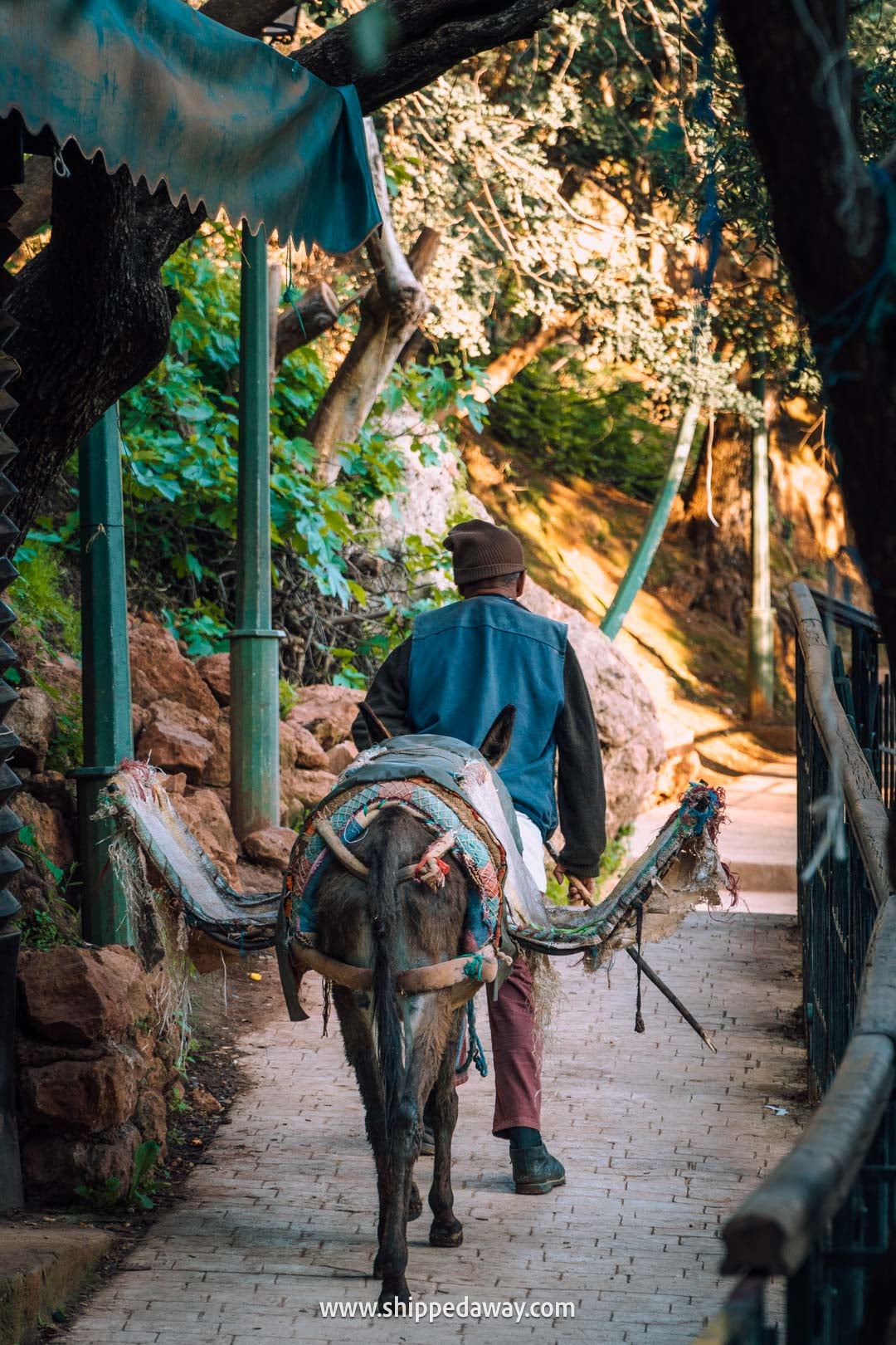 Guide to Ouzoud Waterfalls with tips from our two-night visit - donkey transporting goods